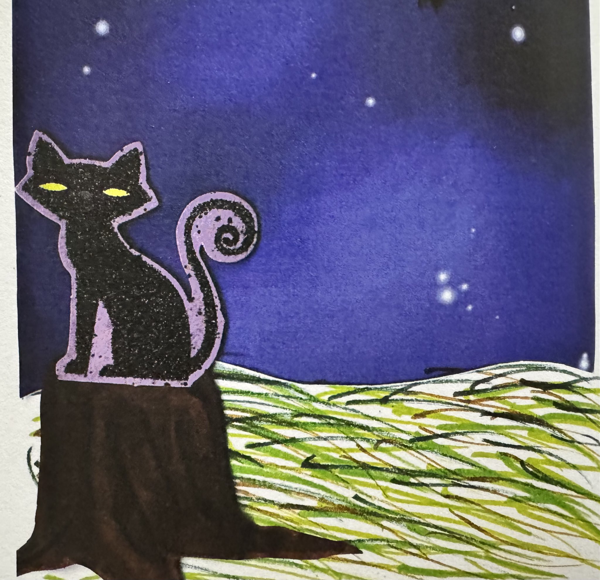 Chester the Cat
