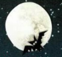 lonley bat icon